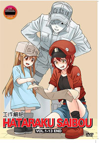 Hataraku Saibou [Cells at work] DVD Complete 1-13 (Japanese Ver) - Anime